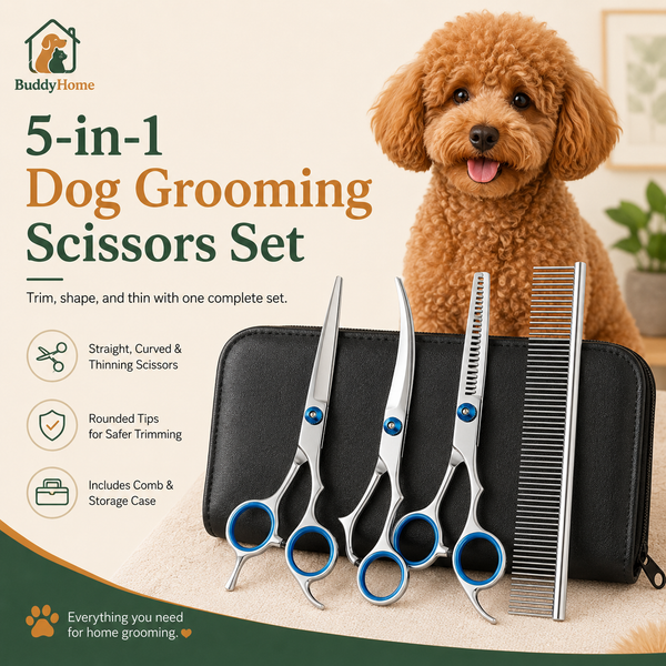 Rounded-Tip Pet Grooming Scissors – Stainless Steel Precision Trimming Shears
