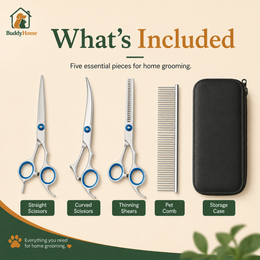 Rounded-Tip Pet Grooming Scissors – Stainless Steel Precision Trimming Shears