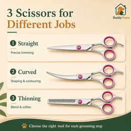 **Professional Pet Grooming Scissors Set – Rounded Safety Tips for Precise At-Home Trimming**