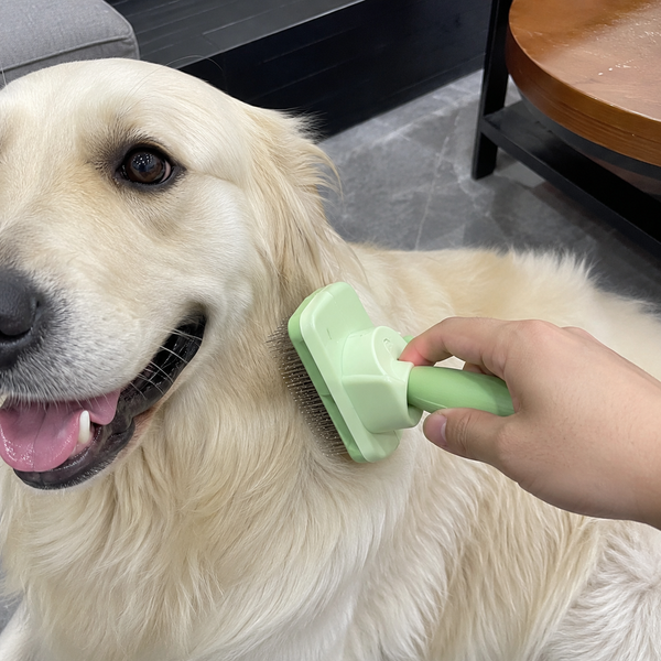 Dog Comb Pet Hair Remover One Button Dogs Brush Self-cleaning Cat Brush Massage Combs for Dog Grooming Brushes for Pet Products