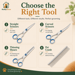 Rounded-Tip Pet Grooming Scissors – Stainless Steel Precision Trimming Shears