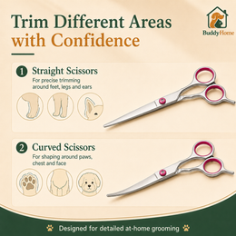 **Professional Pet Grooming Scissors Set – Rounded Safety Tips for Precise At-Home Trimming**