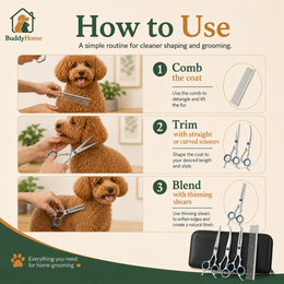 Rounded-Tip Pet Grooming Scissors – Stainless Steel Precision Trimming Shears