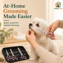 **Professional Pet Grooming Scissors Set – Rounded Safety Tips for Precise At-Home Trimming**
