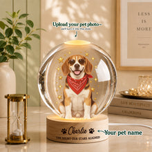Vintage Americana Custom Pet Portrait – Classic American Charm from Your Pet’s Photo