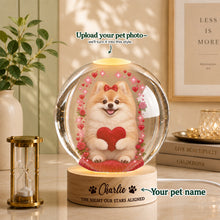 Valentine’s Day Custom Pet Portrait – Celebrate the Love That’s Always There