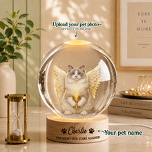 Memorial Custom Pet Portrait – A Beautiful Tribute Made from Your Pet’s Photo