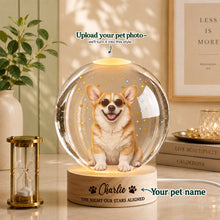 Road Trip Custom Pet Portrait – Every Adventure Is Better with Your Pet