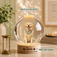 Beach Custom Pet Portrait – Sun, Sand & Your Favorite Companion