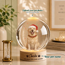 Christmas Custom Pet Portrait – Make Your Pet Part of the Holiday Magic