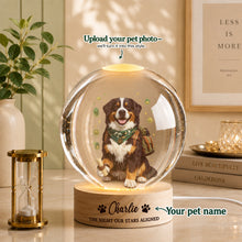 National Parks Custom Pet Portrait – Turn Your Pet into a Great American Explorer